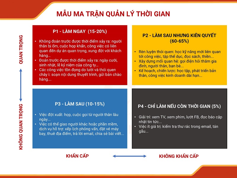 cá cược thể thao hul city